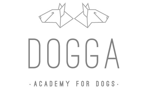 Dogga - Academy for docs
